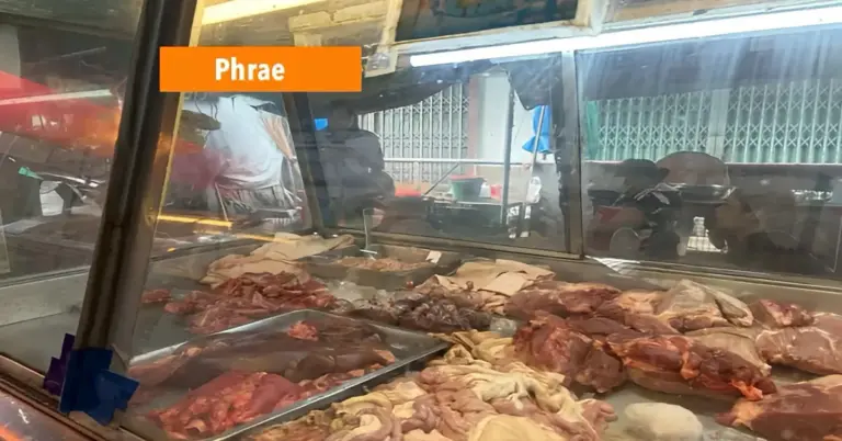 In Noord-Thailand is al meerdere keren tegen dovemansoren gezegd dat men géén rauw varkensvlees moet eten; nu eist het varkens streptokok-virus wéér mensenlevens.