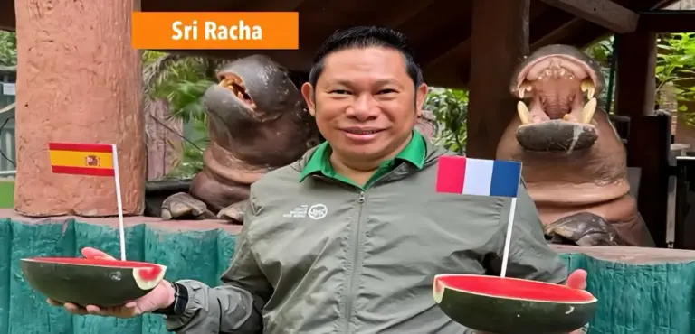 Thailand’s bekende nijlpaard “Moo Deng” voorspelt dat Frankrijk en Engeland naar de WK-finale gaan en neemt daarna een meloenpauze. 🍉
