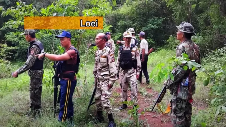  Drie wilde olifanten jagen een dorp in Noordoost-Thailand de stuipen op het lijf.