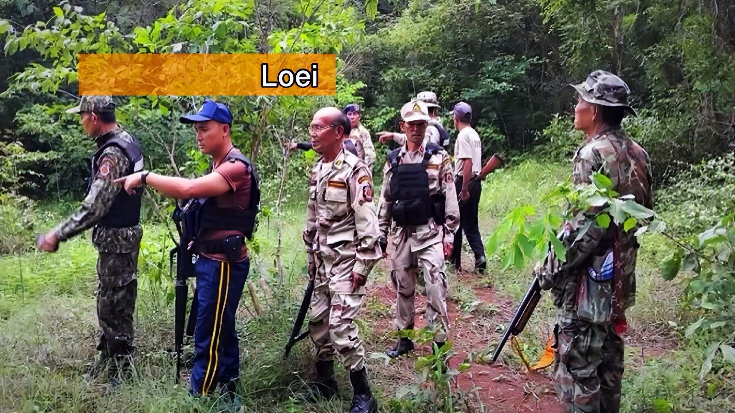Drie wilde olifanten jagen een dorp in Noordoost-Thailand de stuipen op het lijf.