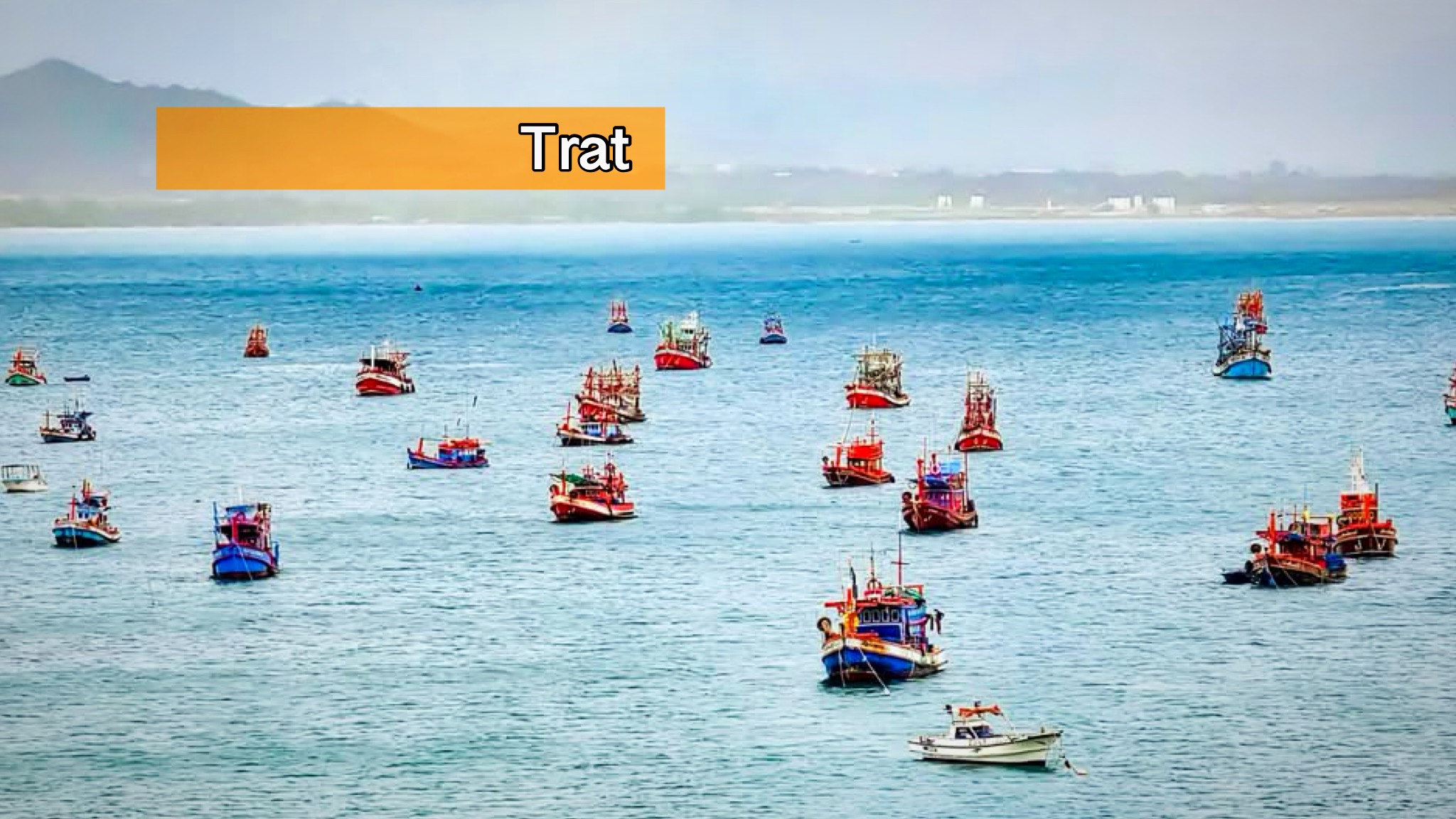 Honderden kapiteins kozen eieren voor hun geld en zochten de luwte op in de baai van Saem Son, aan de oostkust van Thailand.