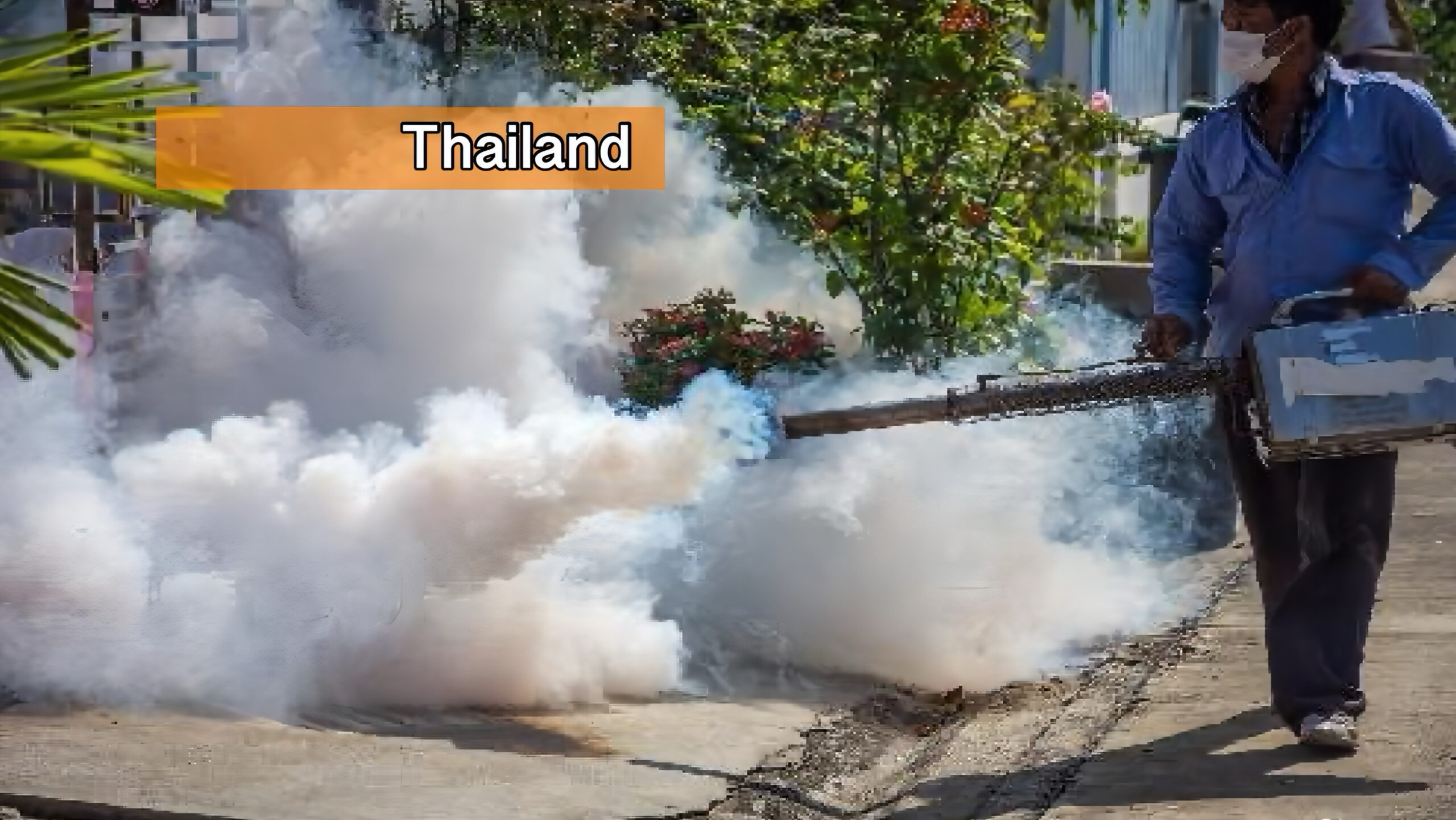 Thailand worstelt met dengue‑uitbraak; tot 19 augustus 21.620 gevallen en 31 doden geregistreerd.