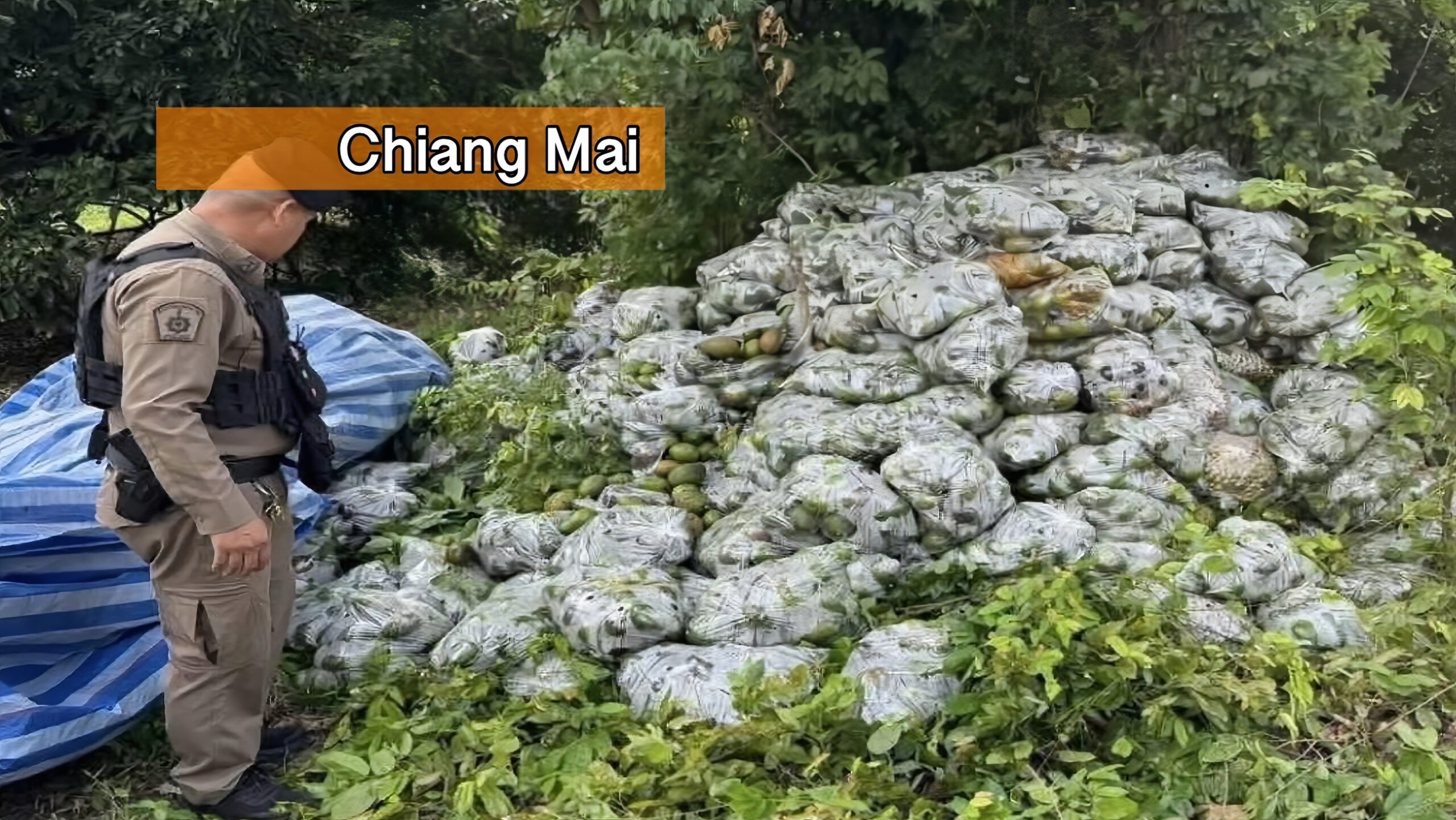 Tiener steelt in Noord-Thailand opa’s pick‑up, dumpt 4,5 ton fruit langs de weg en vlucht weg.