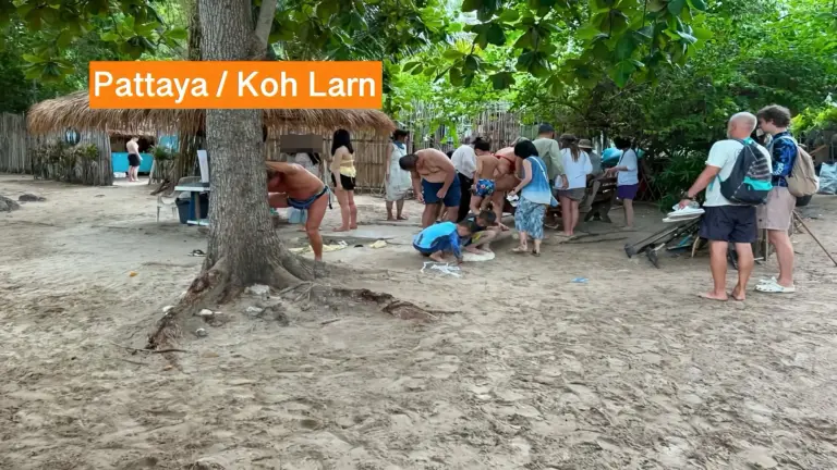 Burgemeester eist per direct een strafrechtelijk onderzoek, na de constatering van een milieudelict op Koh Larn.