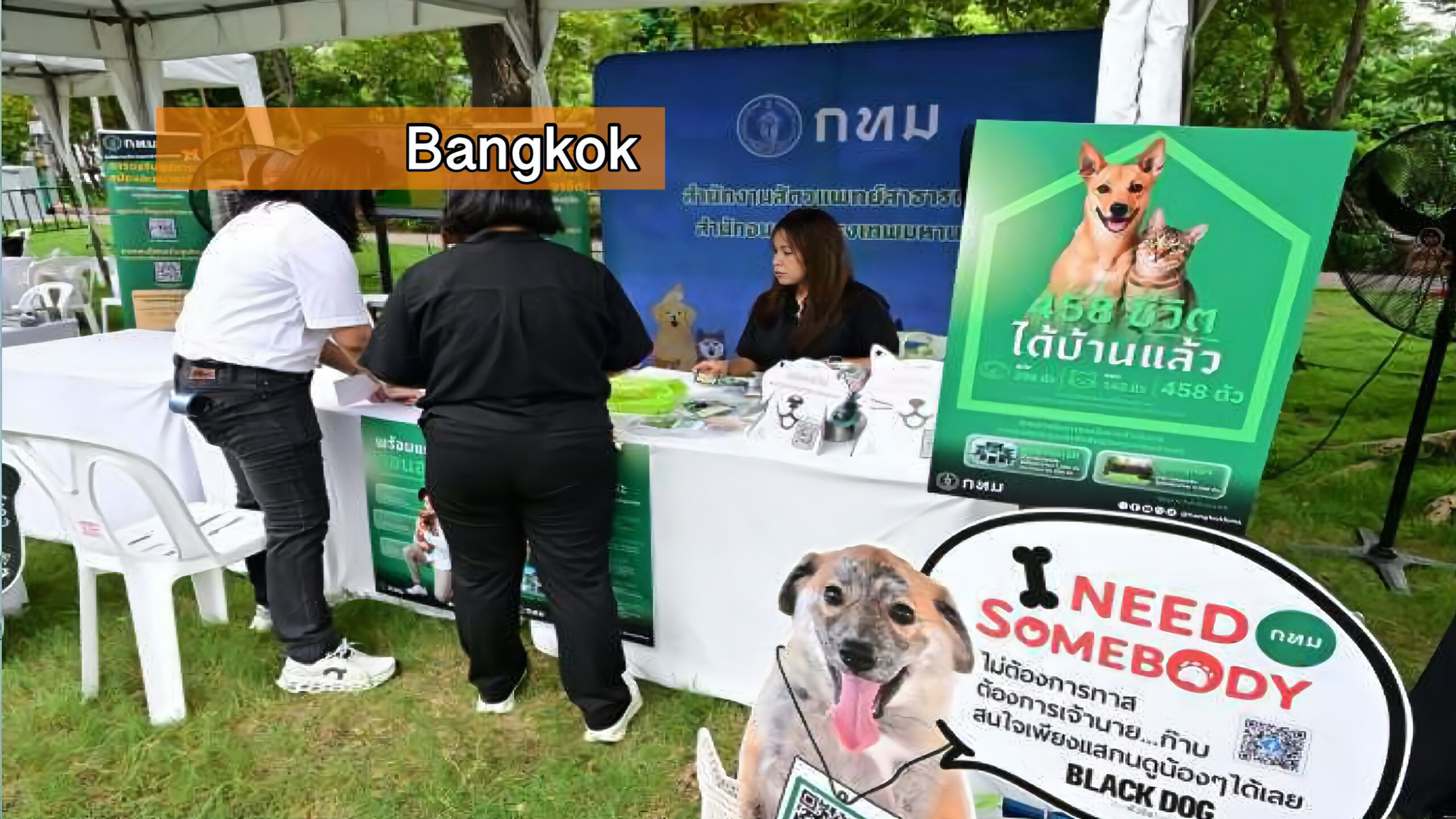 De hoofdstad van Thailand kiest voor systematische aanpak van zwerfhonden.