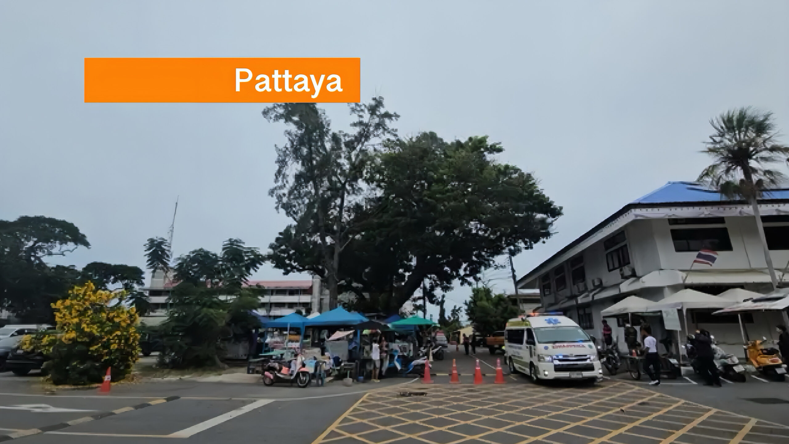 Zwerm reuzebijen valt een markt in Pattaya, 17 mensen konden niet aan deze agressieve dieren ontkomen en moesten behandeld worden.