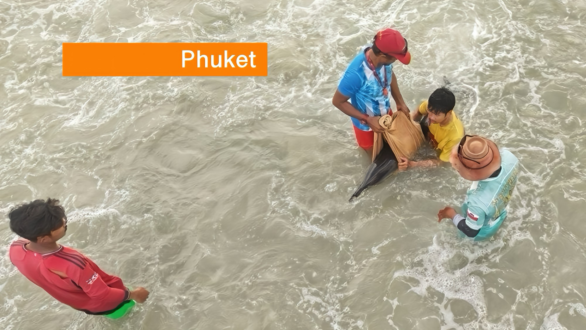 Jonge dolfijn aangespoeld op een strand van Phuket; het dier krijgt nu 24 uur zorg in een opvangcentrum.