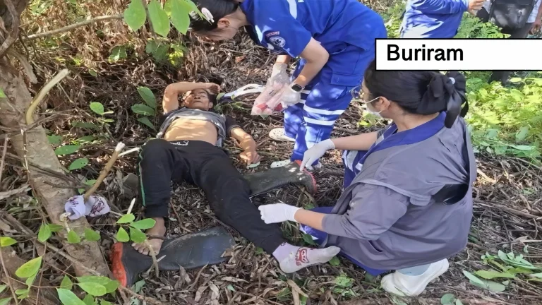 Wilde gaur neemt in Noordoost-Thailand tijdens het paddenstoelen zoeken een man op de hoorns, hij komt er beroerd vanaf.