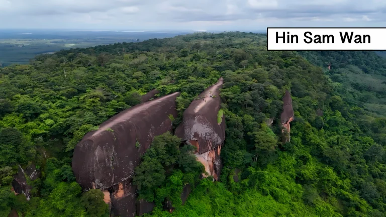 Drie gigantische ‘walvissen’ in de bergen van Thailand aangetroffen.