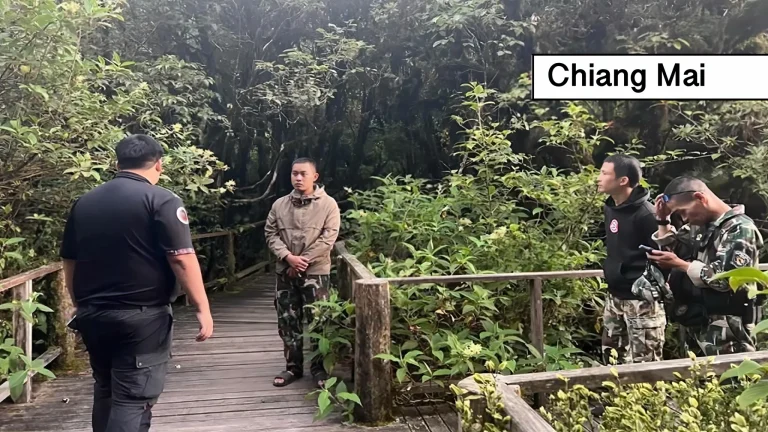 Toeristen in Noord-Thailand beboet voor vertrappen van zeldzame planten op de Doi Inthanon.