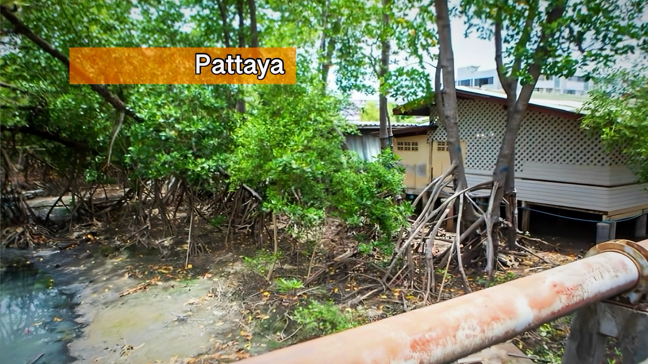 Pattaya start gefaseerde ontruiming na ontdekking van 149 illegale woningen?