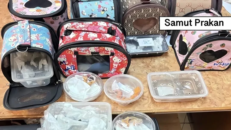 Het houdt in Thailand maar niet op: de douane op Suvarnabhumi Airport ziet de smokkel van wilde dieren steeds verder toenemen.